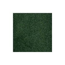 Load image into Gallery viewer, Harmony Carpet
