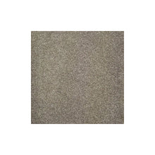 Load image into Gallery viewer, Harmony Carpet
