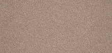 Load image into Gallery viewer, Elegance Carpet
