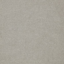 Load image into Gallery viewer, Easy Living Plus Carpet
