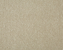 Load image into Gallery viewer, Easy Living Plus Carpet
