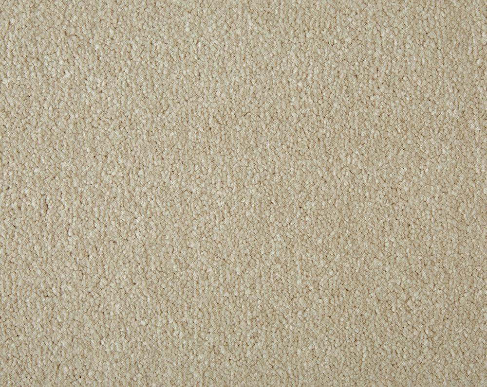 Easy Living Plus Carpet