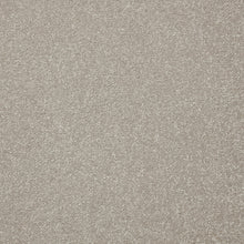 Load image into Gallery viewer, Easy Living Plus Carpet
