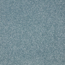 Load image into Gallery viewer, Easy Living Plus Carpet
