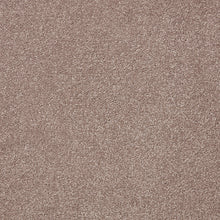 Load image into Gallery viewer, Easy Living Plus Carpet
