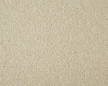Load image into Gallery viewer, Easy Living Plus Carpet
