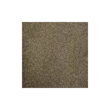 Load image into Gallery viewer, Harmony Carpet
