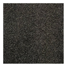 Load image into Gallery viewer, Harmony Carpet
