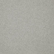 Load image into Gallery viewer, Easy Living Plus Carpet
