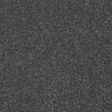Load image into Gallery viewer, Easy Living Plus Carpet
