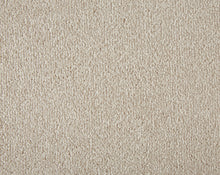 Load image into Gallery viewer, Easy Living Plus Carpet
