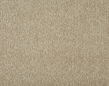 Load image into Gallery viewer, Easy Living Plus Carpet
