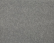 Load image into Gallery viewer, Easy Living Plus Carpet
