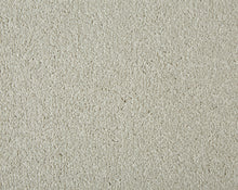 Load image into Gallery viewer, Easy Living Plus Carpet
