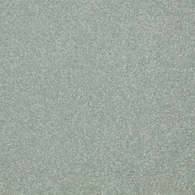 Load image into Gallery viewer, Easy Living Plus Carpet
