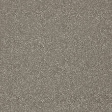 Load image into Gallery viewer, Easy Living Plus Carpet
