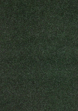 Load image into Gallery viewer, Primus Velour
