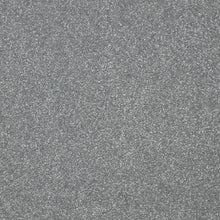 Load image into Gallery viewer, Easy Living Plus Carpet

