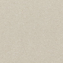 Load image into Gallery viewer, Smart Devotion Carpet
