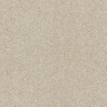 Load image into Gallery viewer, Smart Devotion Carpet
