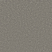 Load image into Gallery viewer, Smart Devotion Carpet
