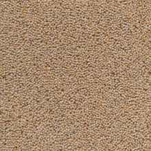 Load image into Gallery viewer, Cotswold Supreme Carpet
