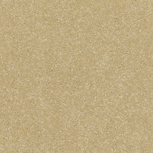 Load image into Gallery viewer, Smart Devotion Carpet
