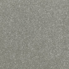 Load image into Gallery viewer, Smart Devotion Carpet
