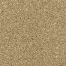 Load image into Gallery viewer, Smart Devotion Carpet
