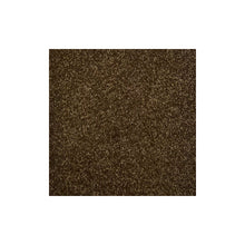 Load image into Gallery viewer, Harmony Carpet

