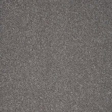 Load image into Gallery viewer, Captivate Carpet
