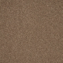 Load image into Gallery viewer, Captivate Carpet
