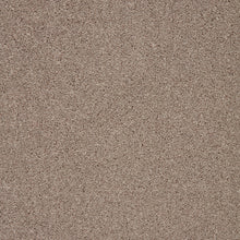 Load image into Gallery viewer, Captivate Carpet
