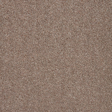 Load image into Gallery viewer, Captivate Carpet
