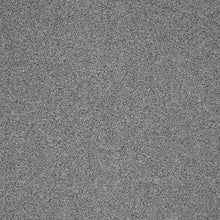 Load image into Gallery viewer, Captivate Carpet
