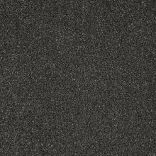 Load image into Gallery viewer, Captivate Carpet
