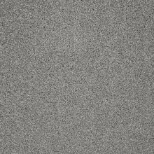 Load image into Gallery viewer, Captivate Carpet

