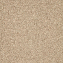 Load image into Gallery viewer, Captivate Carpet
