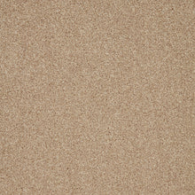 Load image into Gallery viewer, Captivate Carpet
