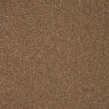 Load image into Gallery viewer, Captivate Carpet
