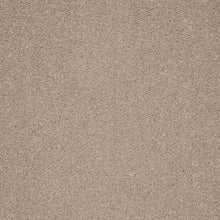 Load image into Gallery viewer, Captivate Carpet
