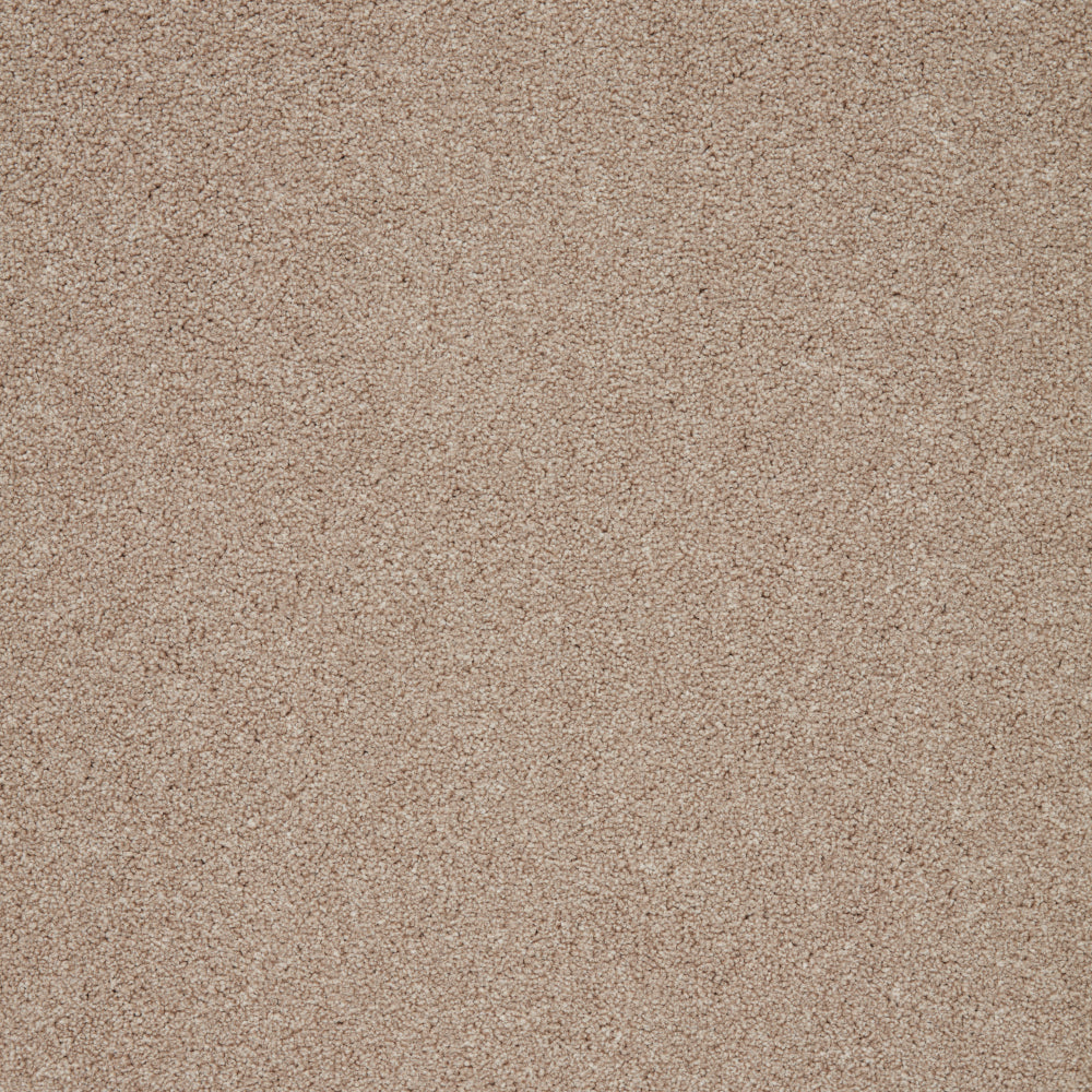 Captivate Carpet