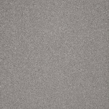 Load image into Gallery viewer, Captivate Carpet
