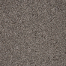 Load image into Gallery viewer, Captivate Carpet
