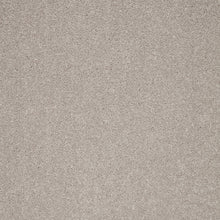 Load image into Gallery viewer, Captivate Carpet
