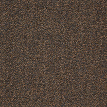 Load image into Gallery viewer, Universal Tones
