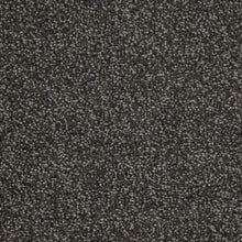 Load image into Gallery viewer, Universal Tones
