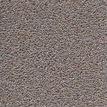 Load image into Gallery viewer, Cotswold Supreme Carpet
