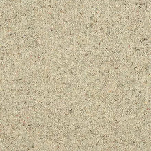 Load image into Gallery viewer, Superior Choice Heathers 40oz Carpet
